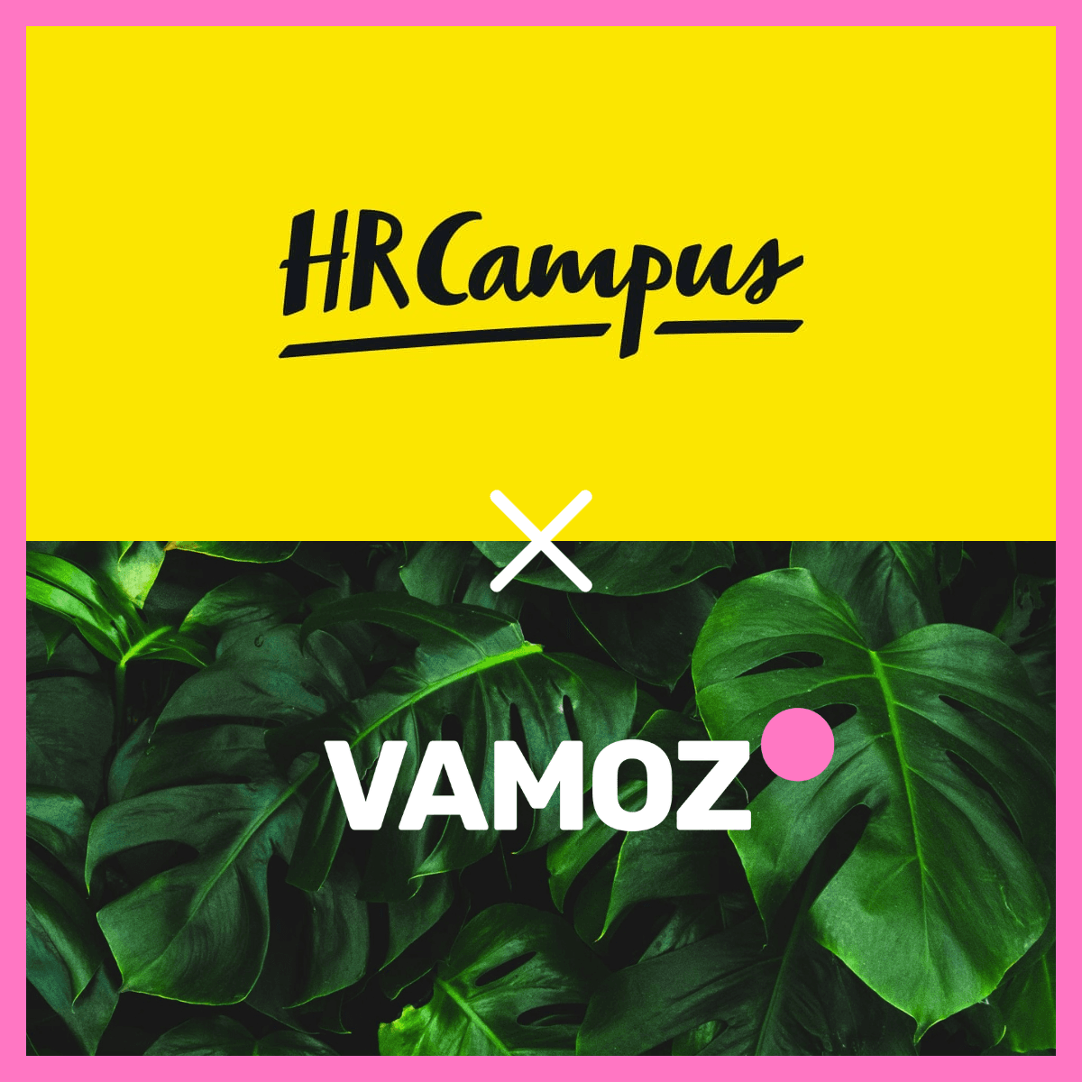 Logos of Vamoz and HR Campus partnership
