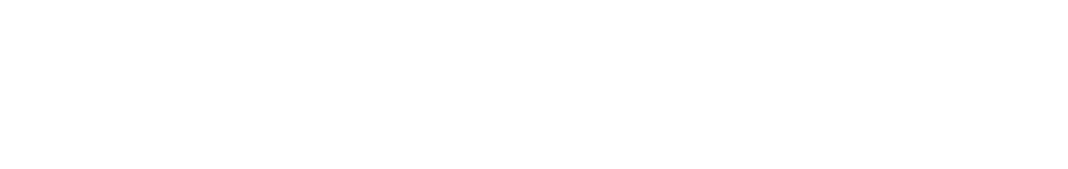 Neue Zürcher Zeitung Logo