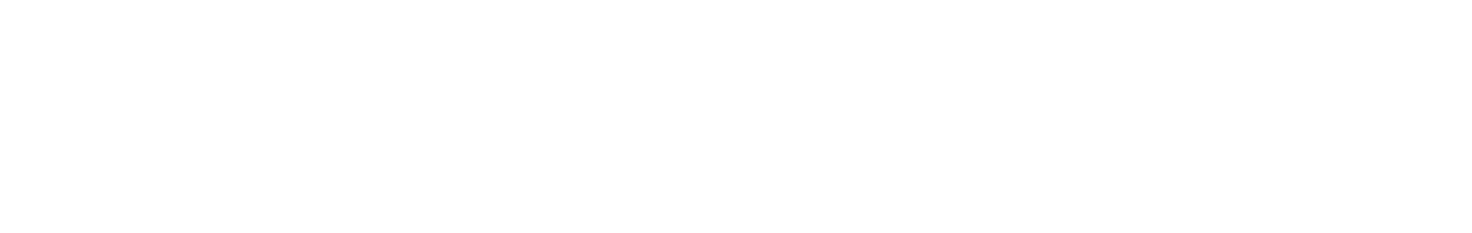 Leader Digital Logo White
